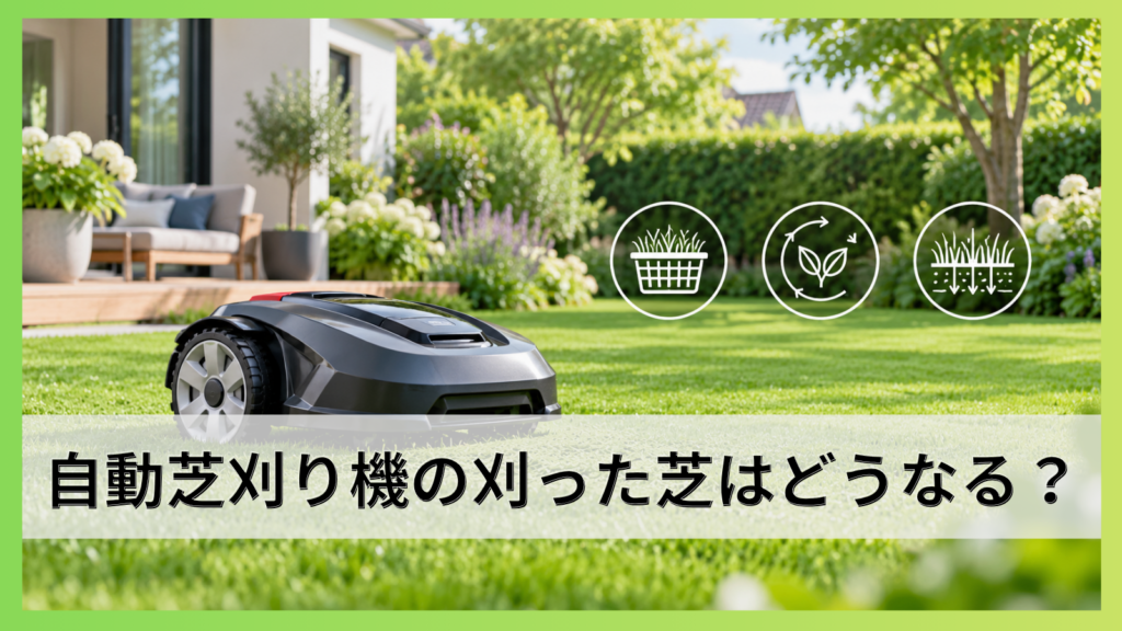 自動芝刈り機の刈った芝はどうなる？回収と肥料・サッチ対策